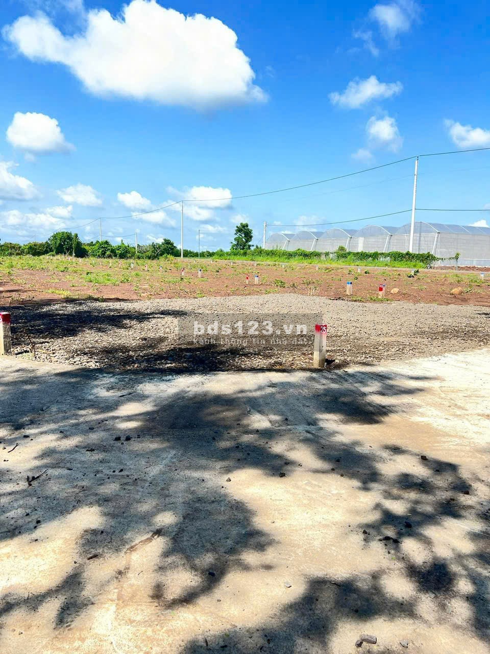 Em cần bán nhanh lô đất 198m2 mặt tiền đường nhựa SHR tại xã Phước Long Thọ huyện Đất Đỏ