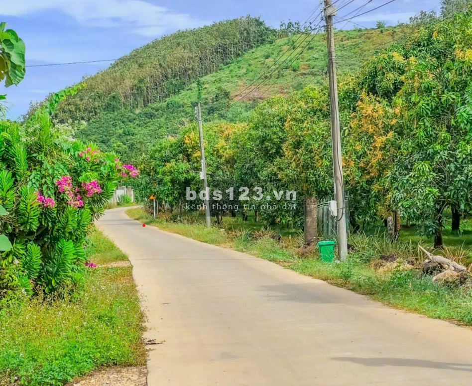 Kẹt ngân hàng bán nhanh đất thổ cư SHR đối diện cổng KCN Long Khánh chỉ 550k/m2
