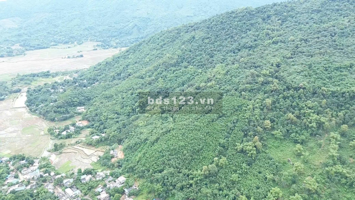 Bán đất rừng sản xuất, diện tích từ 60-200Ha. Tại Kim Bôi - Hòa Bình
