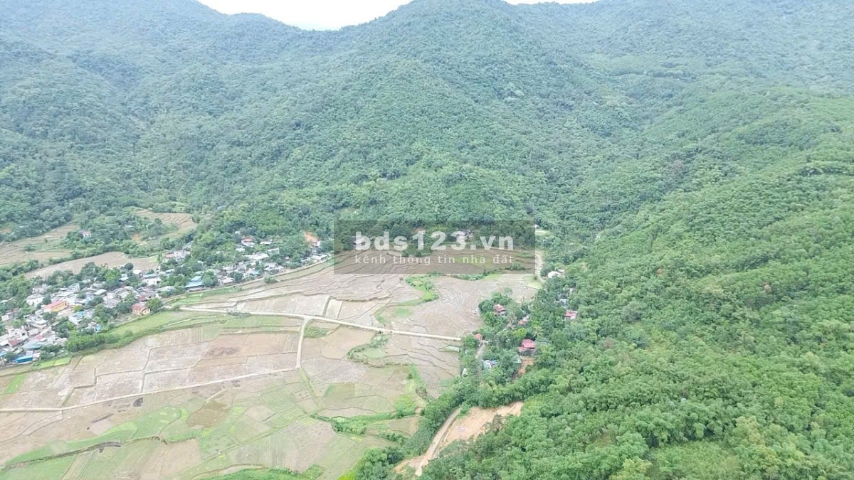 Bán đất rừng sản xuất, diện tích từ 60-200Ha. Tại Kim Bôi - Hòa Bình