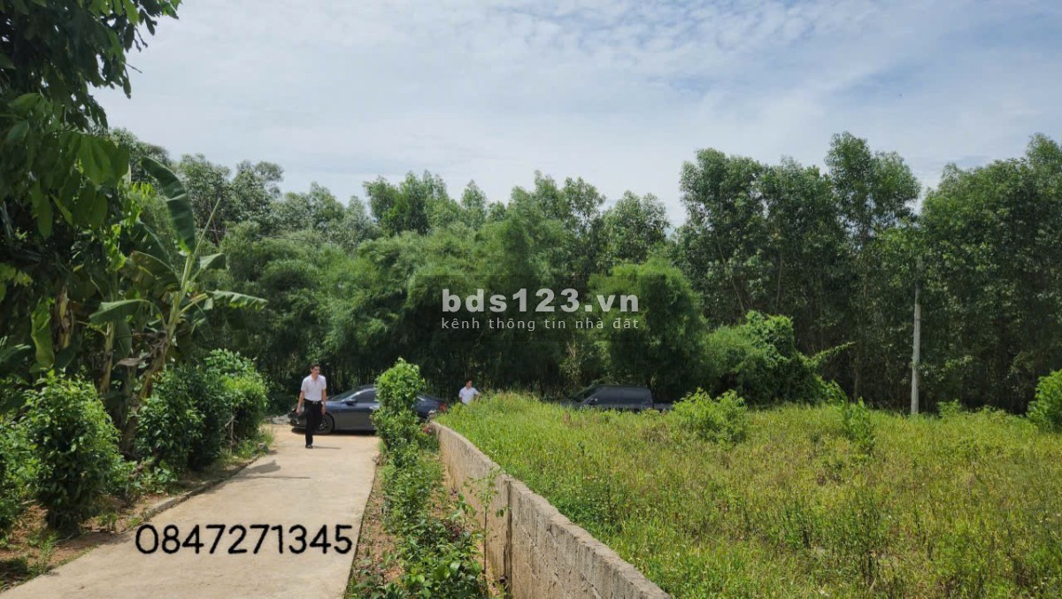 Bán Đất Tại Thị Xã Quảng Trị - Cơ Hội Đầu Tư Hấp Dẫn