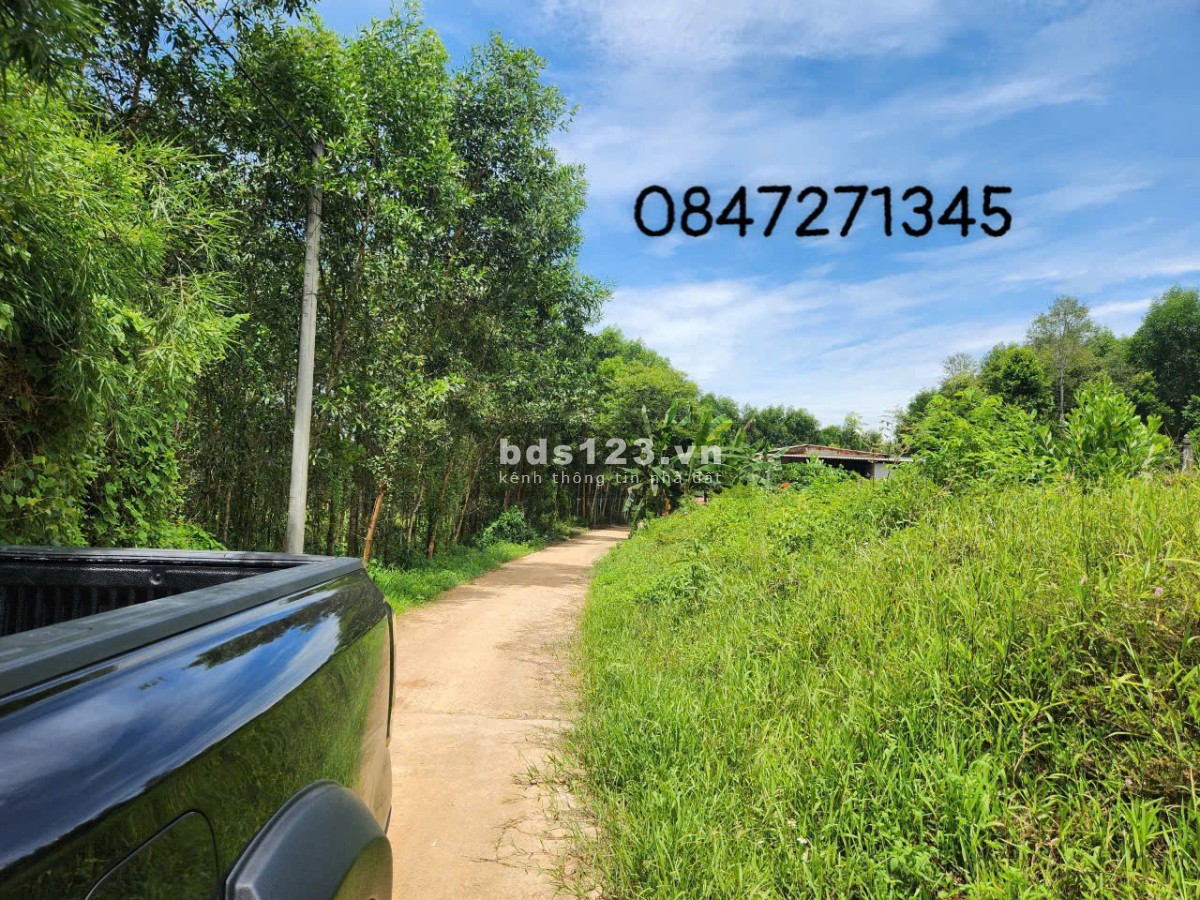 Bán Đất Tại Thị Xã Quảng Trị - Cơ Hội Đầu Tư Hấp Dẫn
