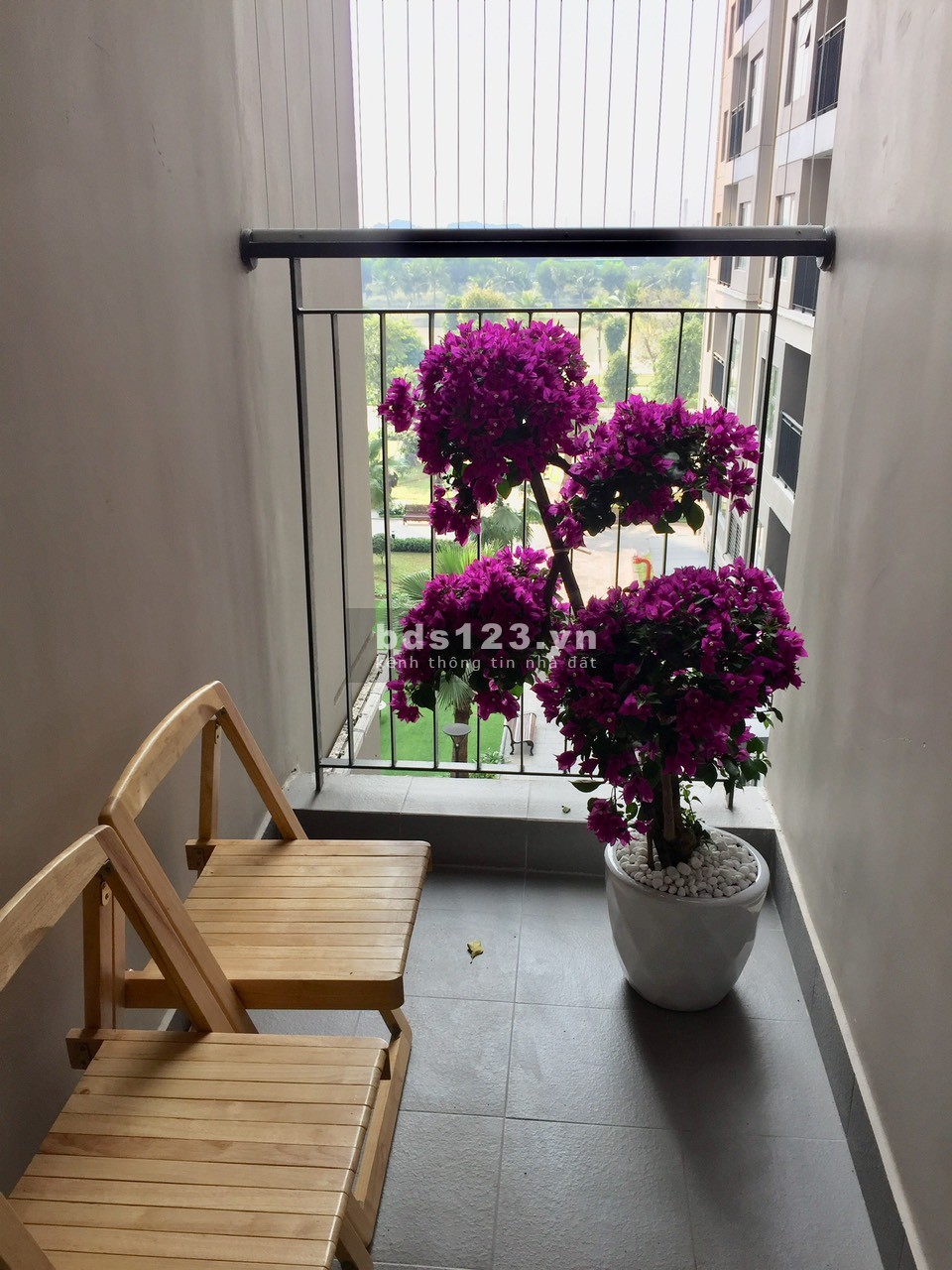 Rẻ nhất thị trường căn studio 31m2 giá chỉ 1,6 tỷ tại vinhomes ocean park gia lâm