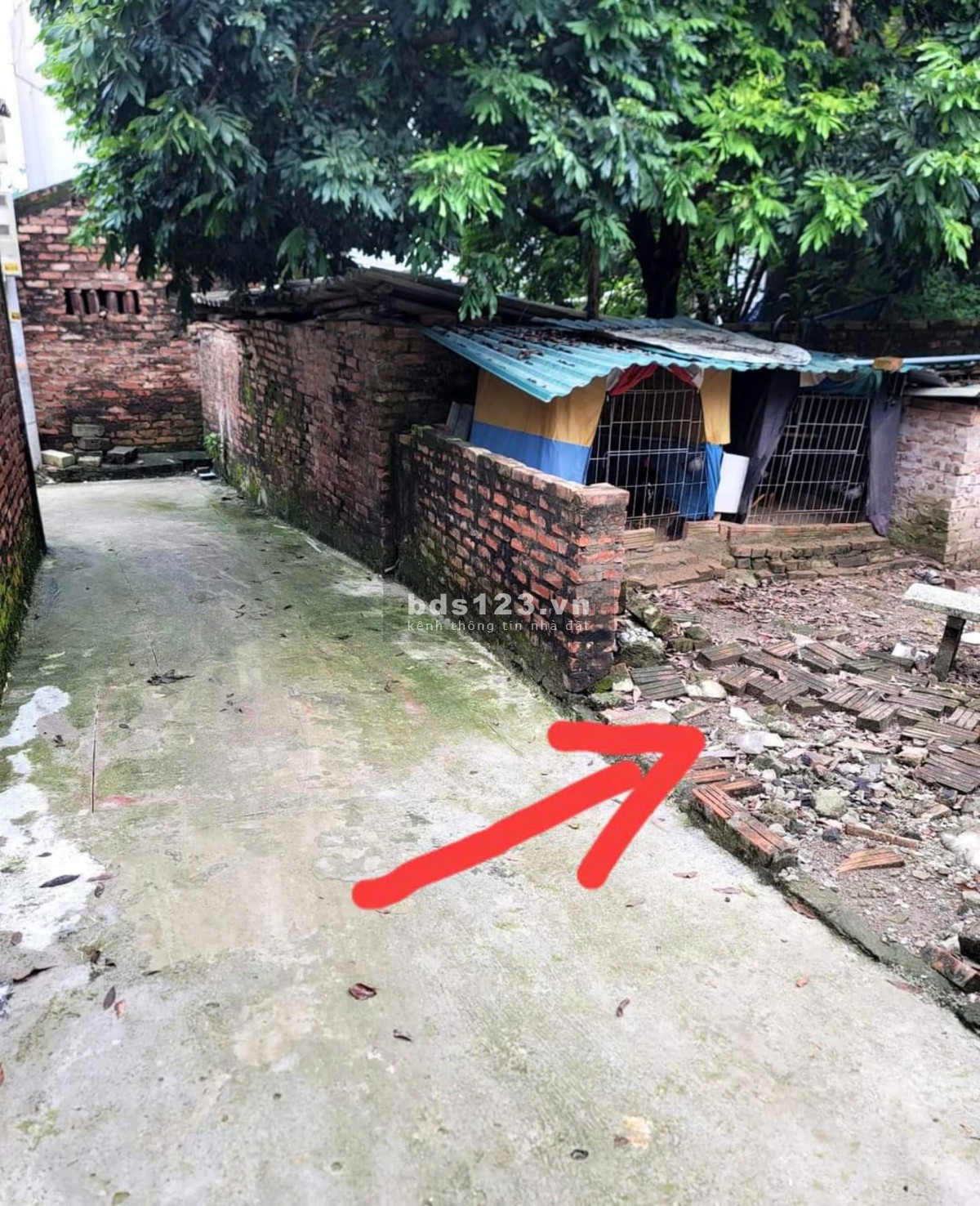 Chính chủ bán 50m đất tại Biên Giang Hà Đông LHCC 0984.745.099