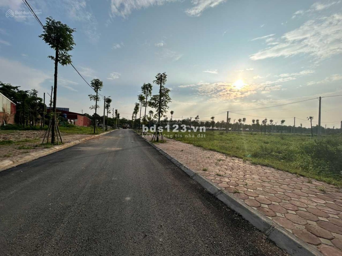 Đất đấu giá TAM ĐỒNG đường 100m, gần Vành Đai 4 đường 120m. Vị trí đắc địa, cam kết bán đúng giá CHỦ