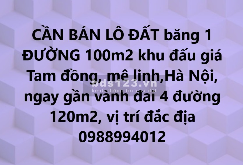 Đất đấu giá TAM ĐỒNG đường 100m, gần Vành Đai 4 đường 120m. Vị trí đắc địa, cam kết bán đúng giá CHỦ