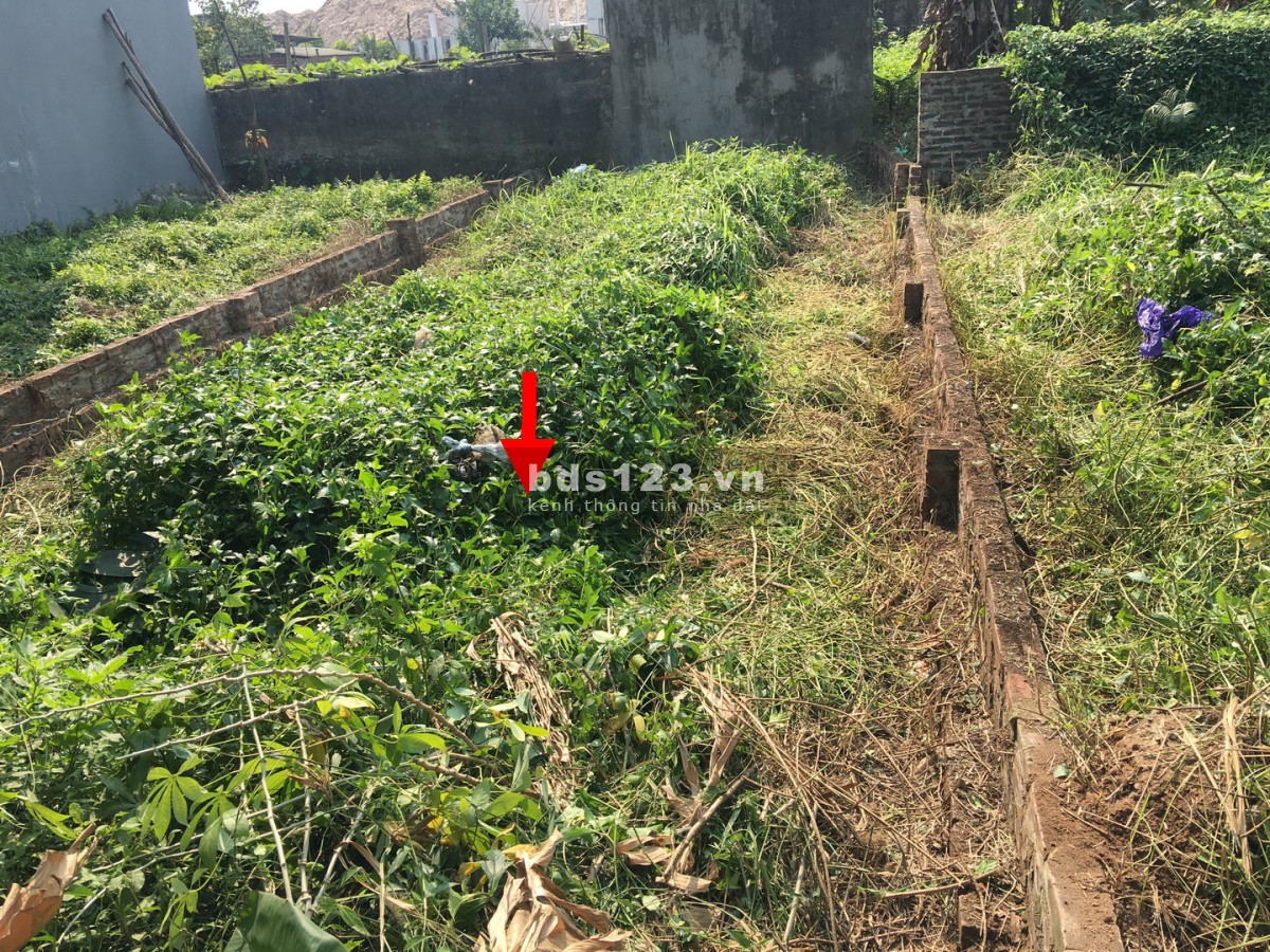 Bán GẤP, RẺ 81m2 đất Vân Canh; Đường xe tải; 50m ra VĐ3.5; Giá 123tr/m2, có TL; ĐT/Zalo 0986095601