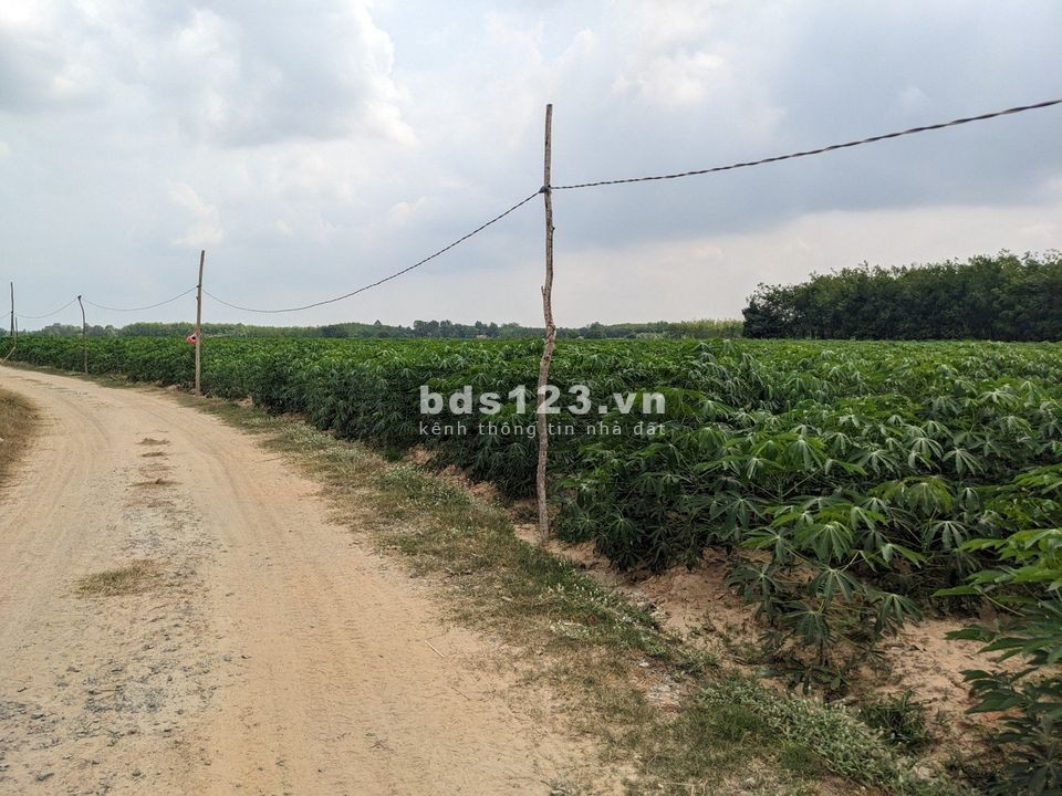 Bán hơn 3 công đất tại Châu Thành - Tây Ninh với giá 175tr/công