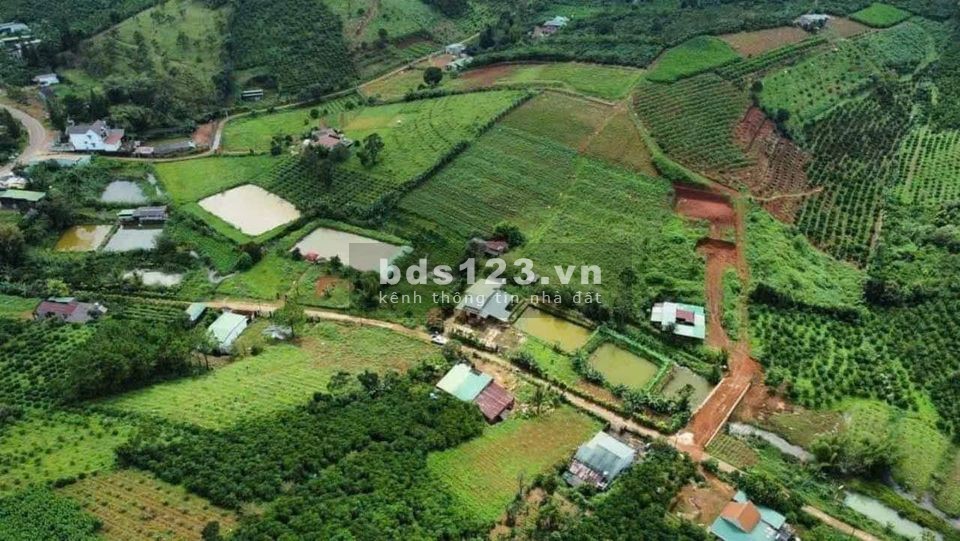 Đất MT Âu Cơ, Tân Lạc, Bảo Lộc. Lâm Đồng SHR