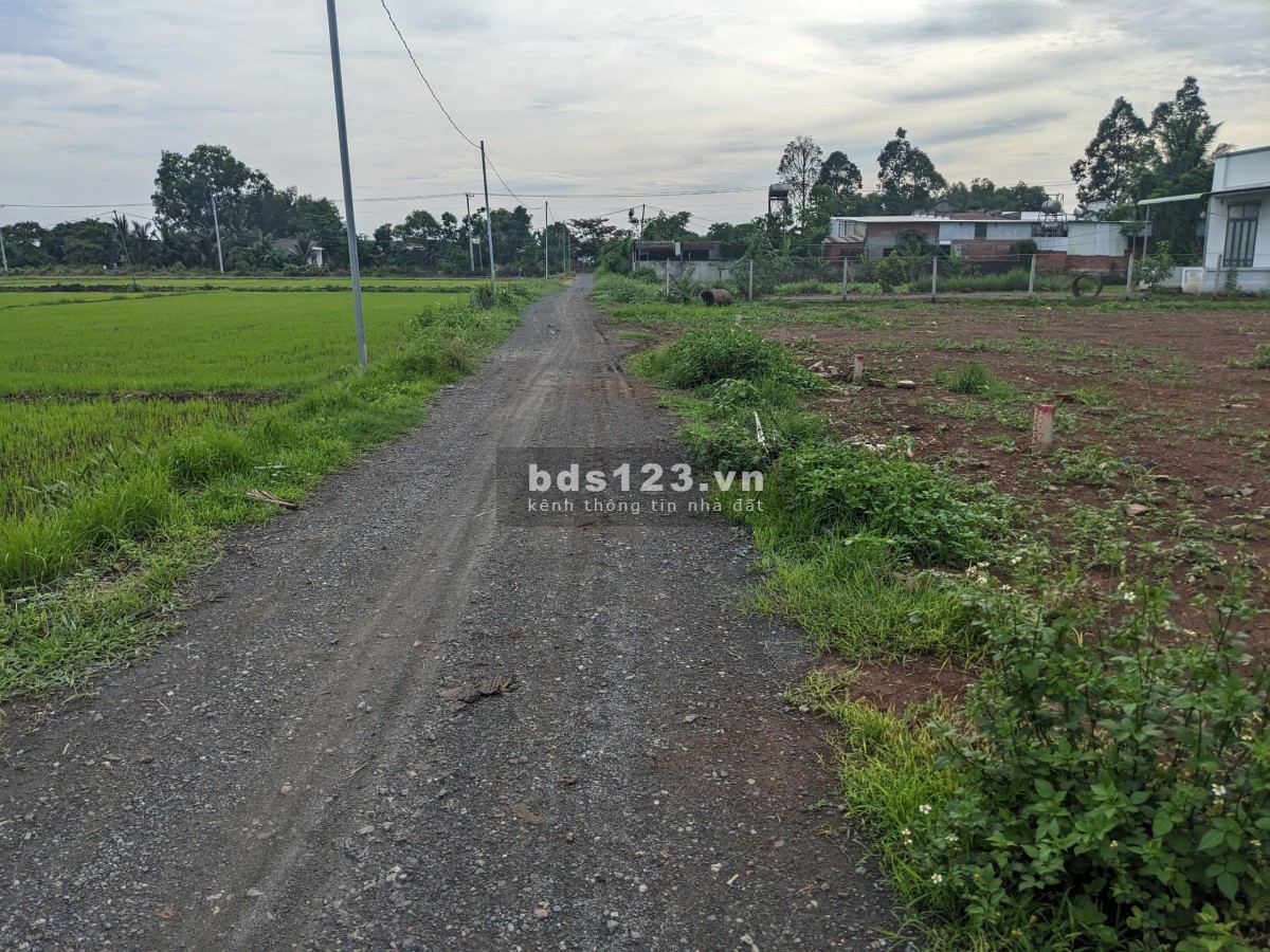 Bán nền đất thổ cư cách QL 1A chỉ 300m ngay tại Xuân Phú - Xuân Lộc