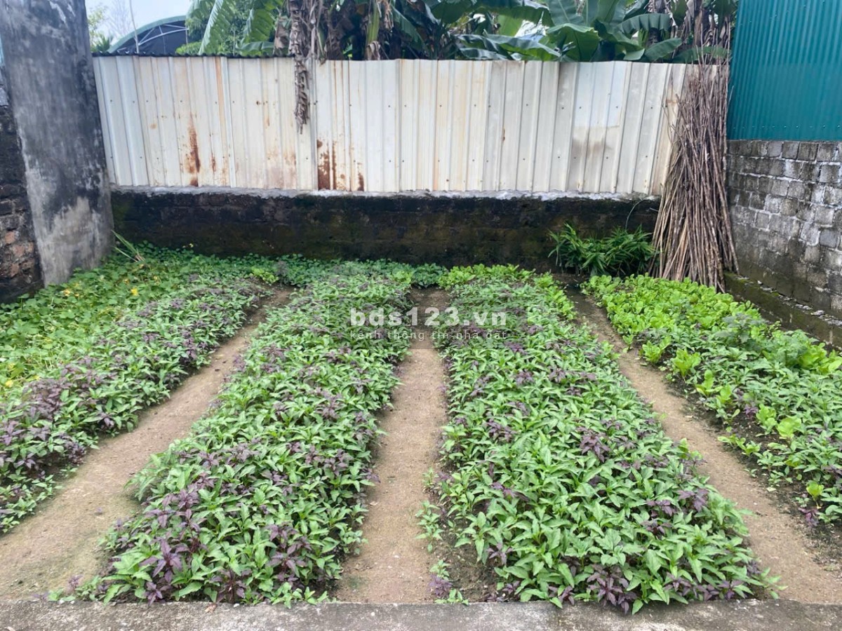 Chính chủ cần chuyển nhượng lô đất tại Xâm Xuyên, Hồng Vân, TT, Dt 40.8m, mt cân hậu 6.85m