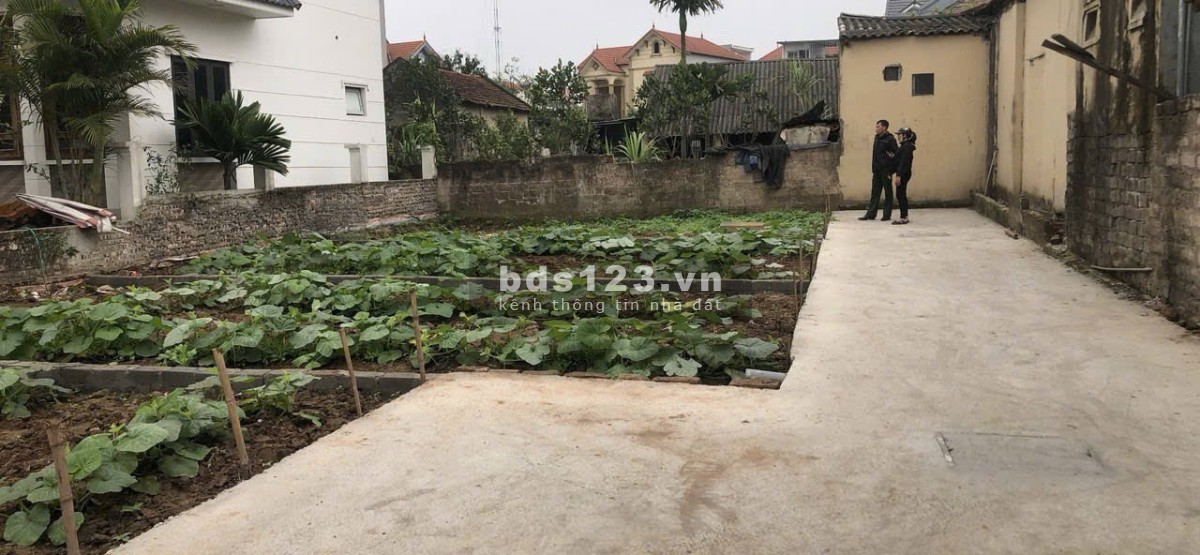Chính chủ cần bán lô đất siêu đẹp tại Ninh Sở, TT, HN, Dt 43.5m mt cân hậu 5m, đường 3m