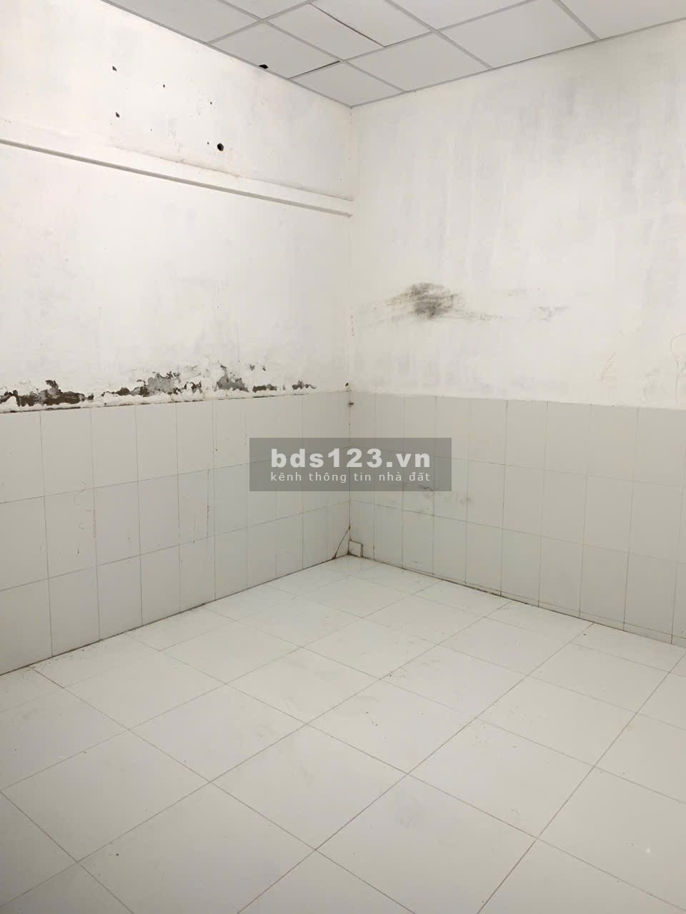 Cho thuê nhà gần Cao đẳng FPT kdc Hoàng Quân