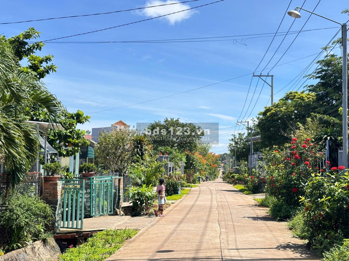Lô đất đồi view xịn nhìn ra hồ - view Thành phố về đêm - ngay khu dân cư đông đúc - Chợ Trường -