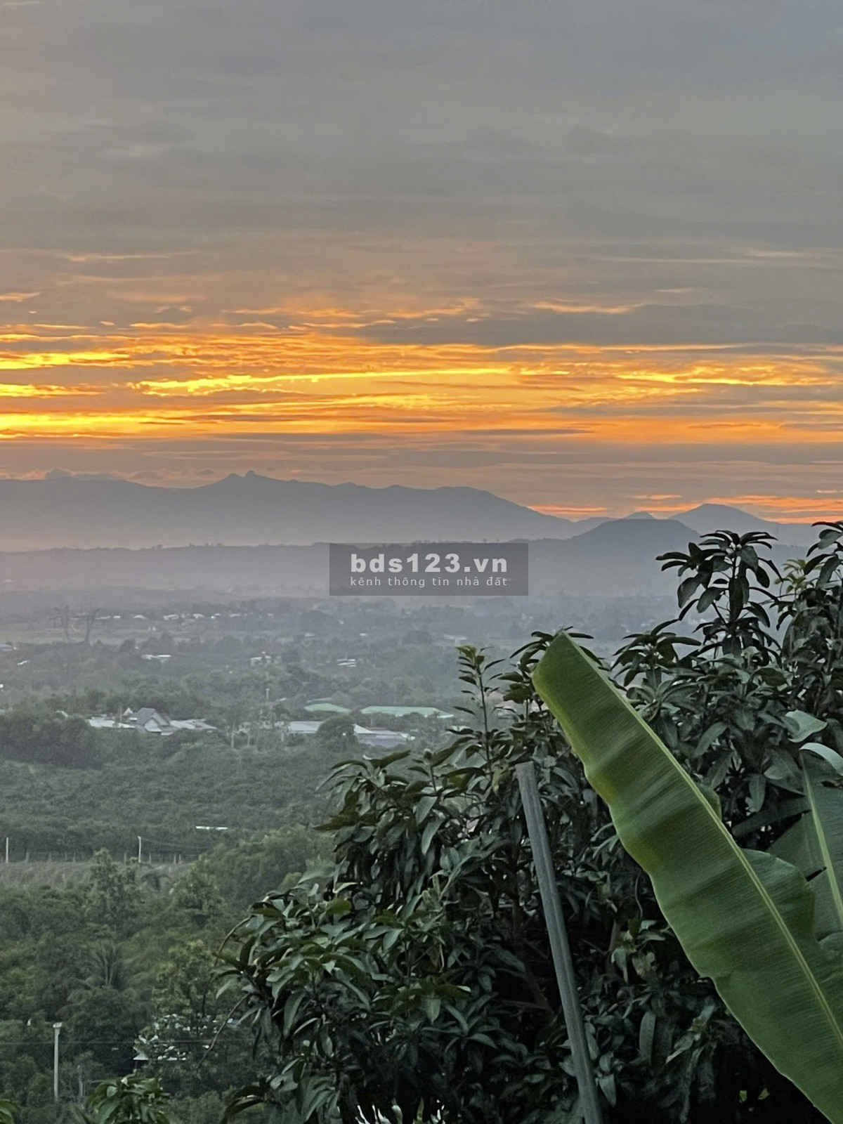 Lô đất đồi view xịn nhìn ra hồ - view Thành phố về đêm -…