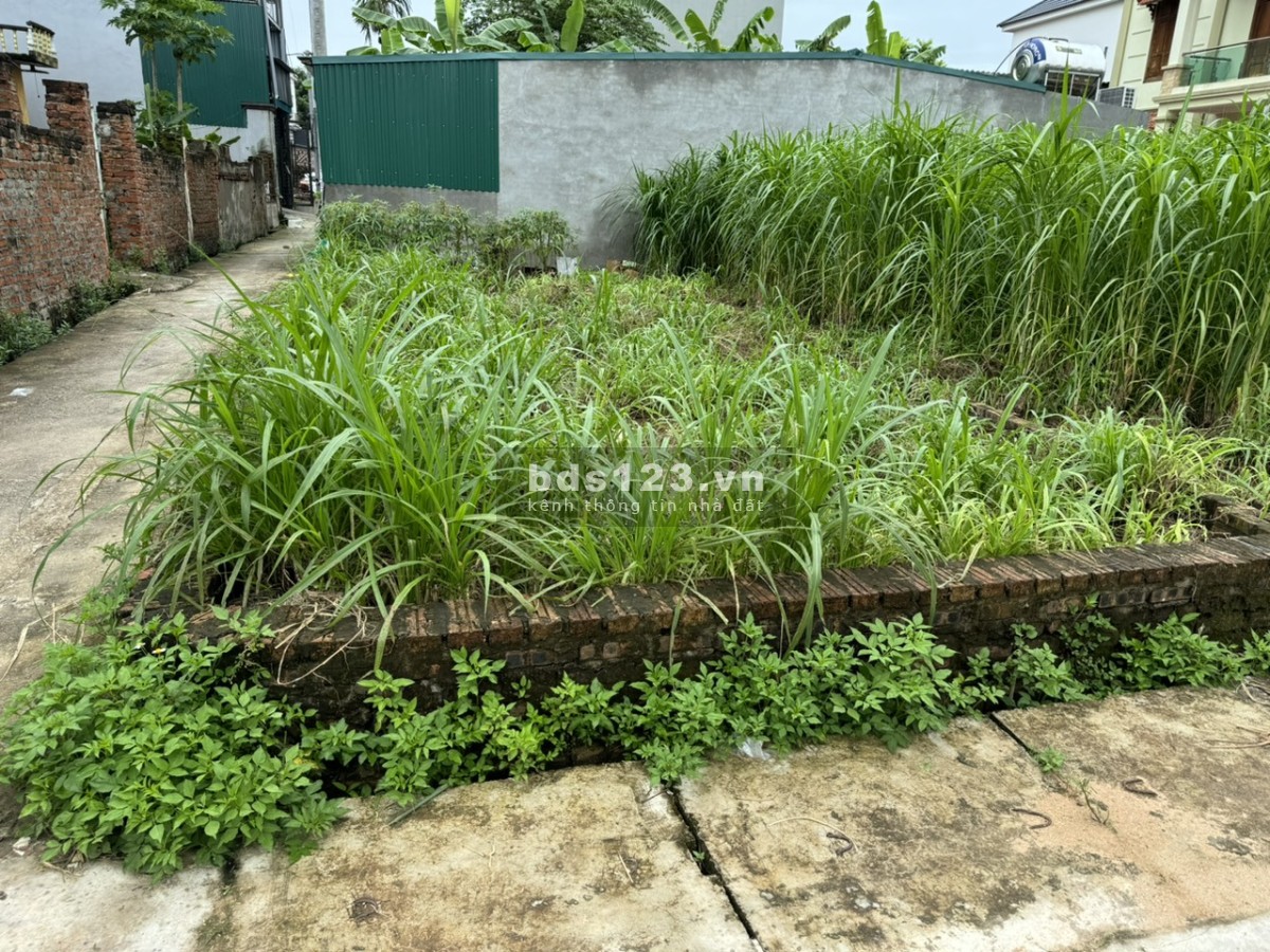 Bán đất Do Hạ, Tiền Phong, Mê Linh, HN, lô góc hai mặt thoáng, DT 82m, giá 2,38 tỷ.