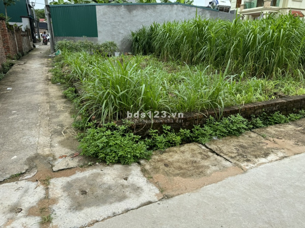 Bán đất Do Hạ, Tiền Phong, Mê Linh, HN, lô góc hai mặt thoáng, DT 82m, giá 2,38 tỷ.