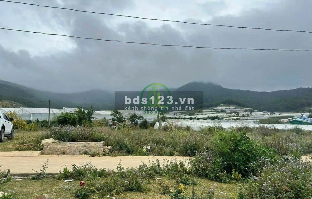 ĐẦU TƯ NGAY GIÁ QUÁ TỐT CẦN BÁN 3 LÔ ĐẤT TRUNG TÂM LẠC DƯƠNG - ĐÀ LẠT