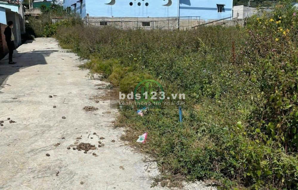 ĐẦU TƯ NGAY GIÁ QUÁ TỐT CẦN BÁN 3 LÔ ĐẤT TRUNG TÂM LẠC DƯƠNG - ĐÀ LẠT