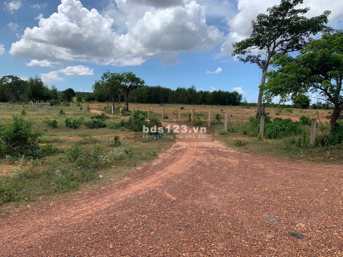 Cần đất vườn 2000m2 xã Phan Rí Thành, cách đường đôi chỉ 2km cách biển 2,9km. Tổng chỉ 413tr bao SHR