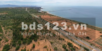 Cần bán gấp 2.063,8m2 đất vườn Phan Rí Thành, giá chỉ 413 triệu SHR, cách biển 1,9km