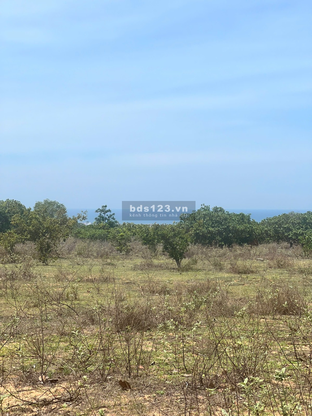Bán nhanh lô đất vườn ven biển Bình Thuận 2000m2 giá chỉ 900 triệu, SHR.