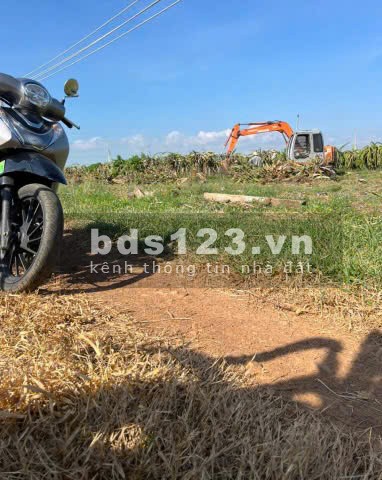 Bán nhanh lô đất vườn ven biển Bình Thuận 2000m2 giá chỉ 900 triệu, SHR.