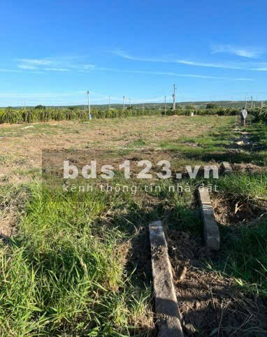 Bán nhanh lô đất vườn ven biển Bình Thuận 2000m2 giá chỉ 900 triệu, SHR.
