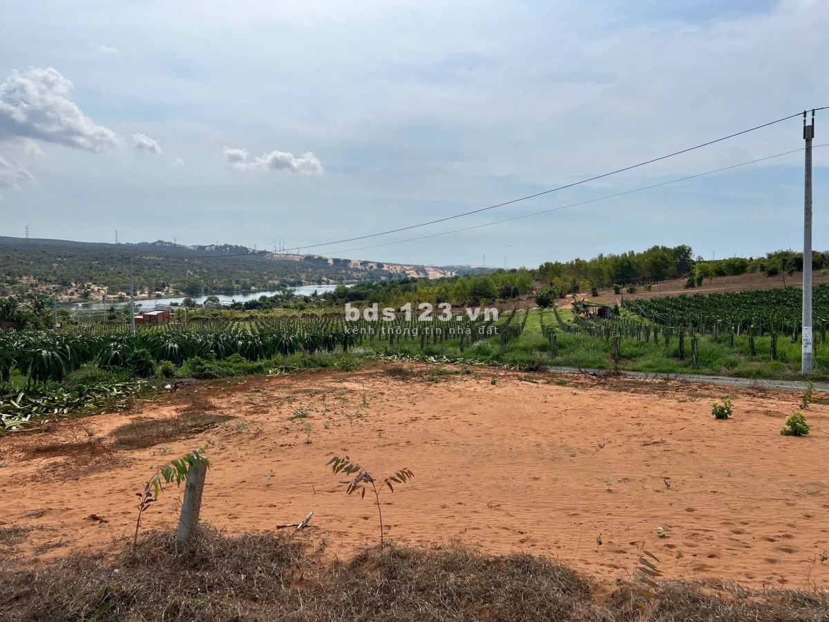 Ba em cần bán gấp 1789 m2 tại Phan Rí Thành giá chỉ 331tr ( SHR ) cách đường đôi Bàu Trắng 2,4 km