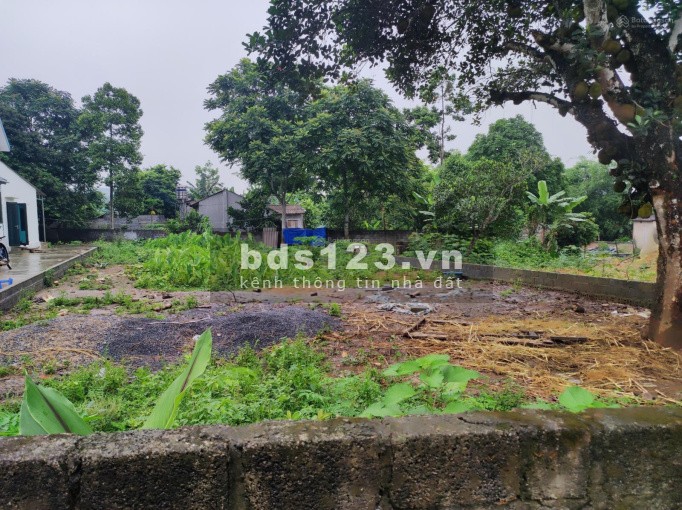 Full thổ cư lô 300m² tại Thanh Cao, Lương Sơn, Hoà Bình cần bán gấp