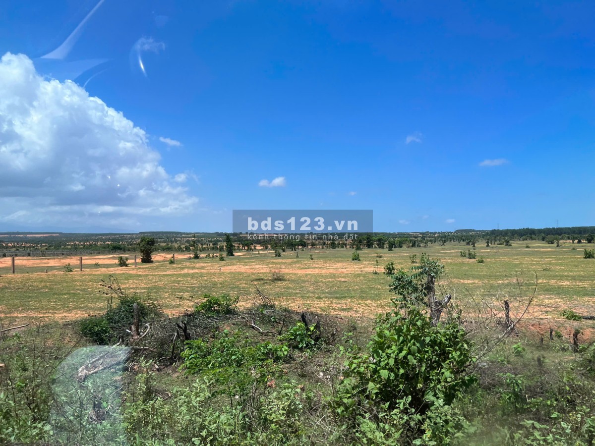 Nhà tôi cần bán hơn 2000m2 giá 900 triệu gần Biển Bình Thuận, cách đường nhựa chỉ 1km. Bao SHR