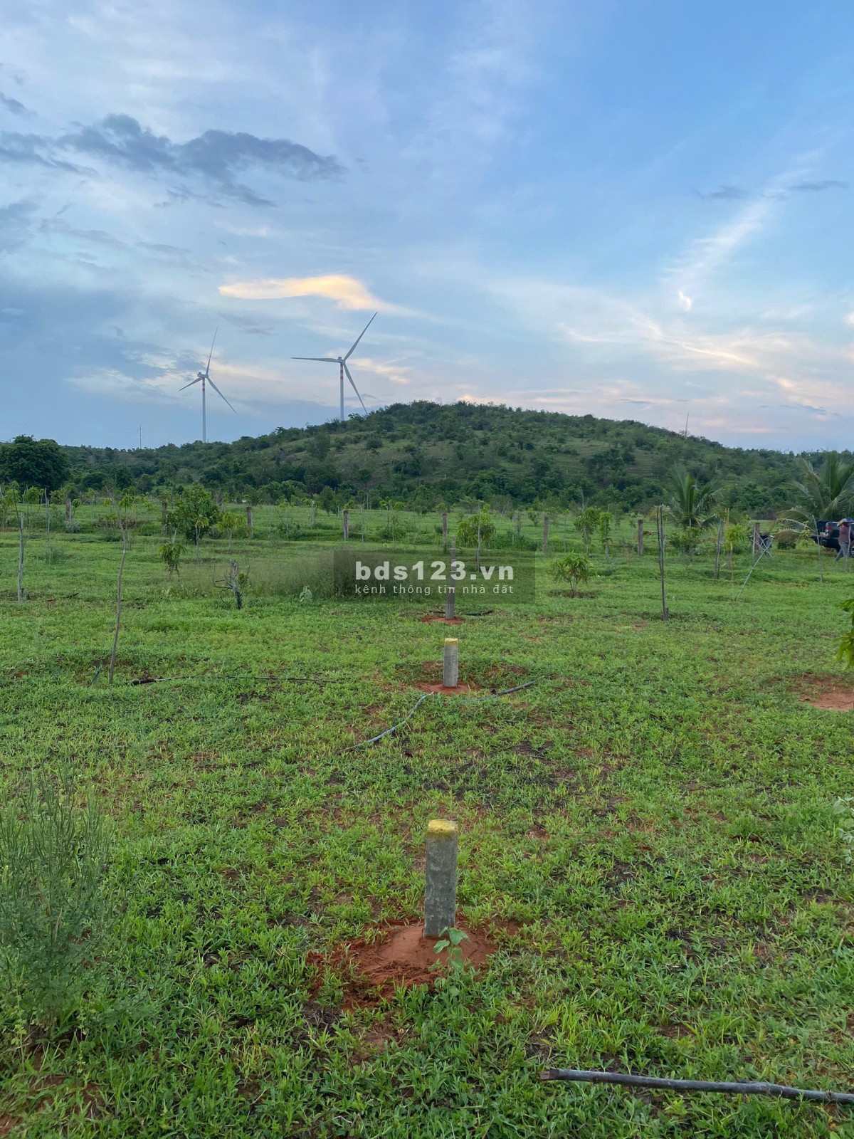 Nhà tôi cần bán hơn 2000m2 giá 900 triệu gần Biển Bình Thuận, cách đường nhựa chỉ 1km. Bao SHR