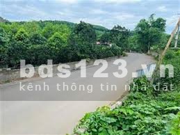 Full thổ cư lô 300m² tại Thanh Cao, Lương Sơn, Hoà Bình cần bán gấp
