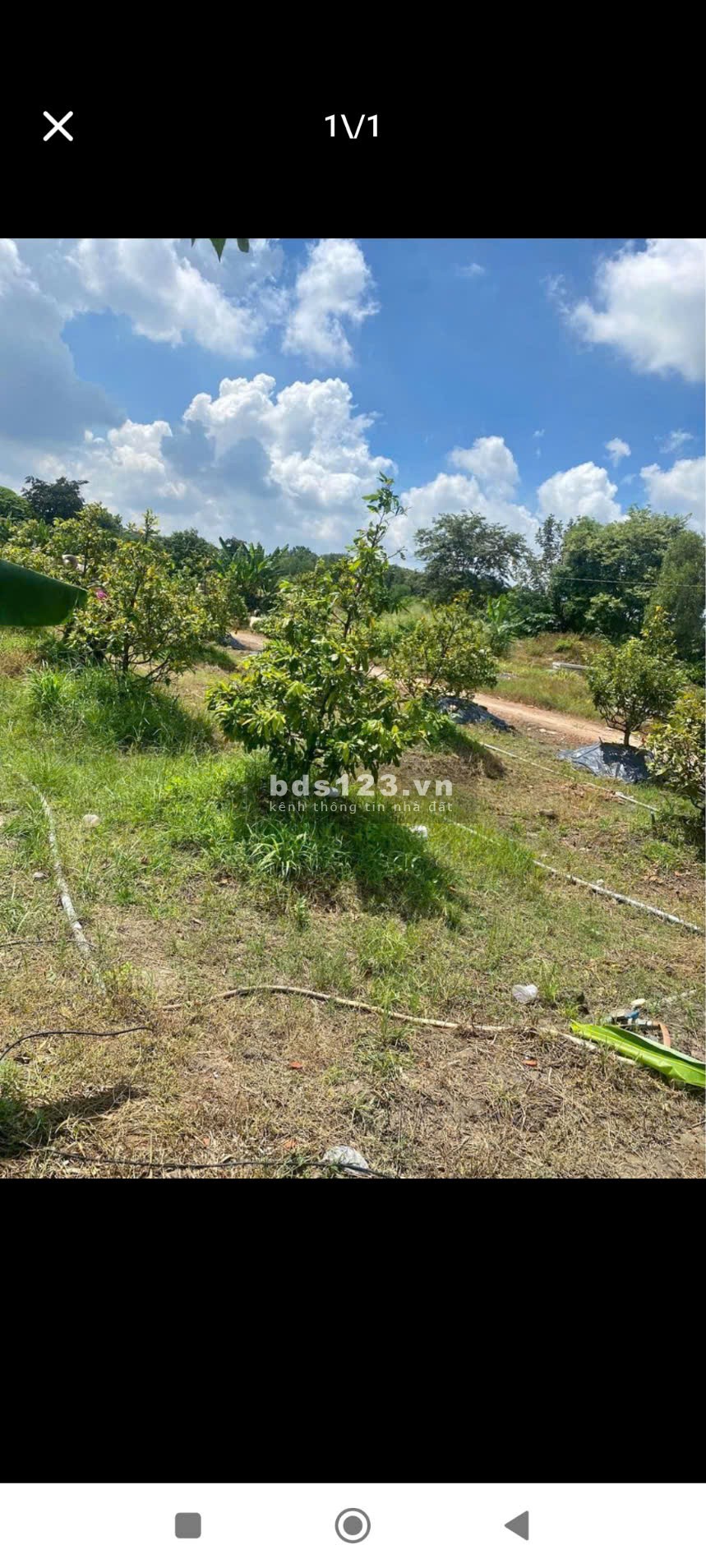 Bán đất Đồng Phú giá chỉ 250tr ngay đường Xuyên Tâm