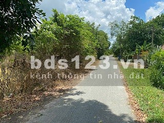 Chính chủ cần bán gấp đất nông nghiệp tại Xã Thái Mỹ, Huyện Củ Chi