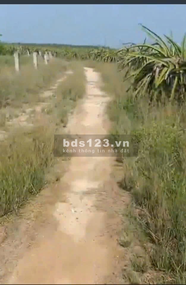BẤT ĐỘNG SẢN BÌNH THUẬN, CHÍNH CHỦ CẦN BÁN
