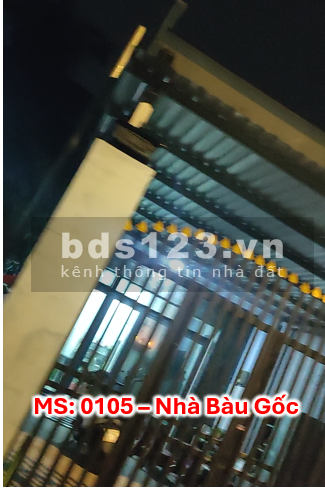 Bán nhà đường Bàu Gốc Tân Kiên Bình chánh