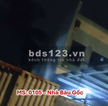 Bán nhà đường Bàu Gốc Tân Kiên Bình chánh