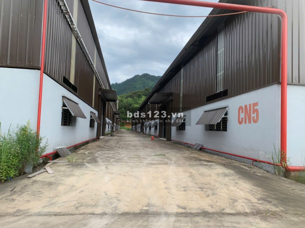 Cho thuê nhà xưởng tại khu Công Nghiệp Thanh Bình