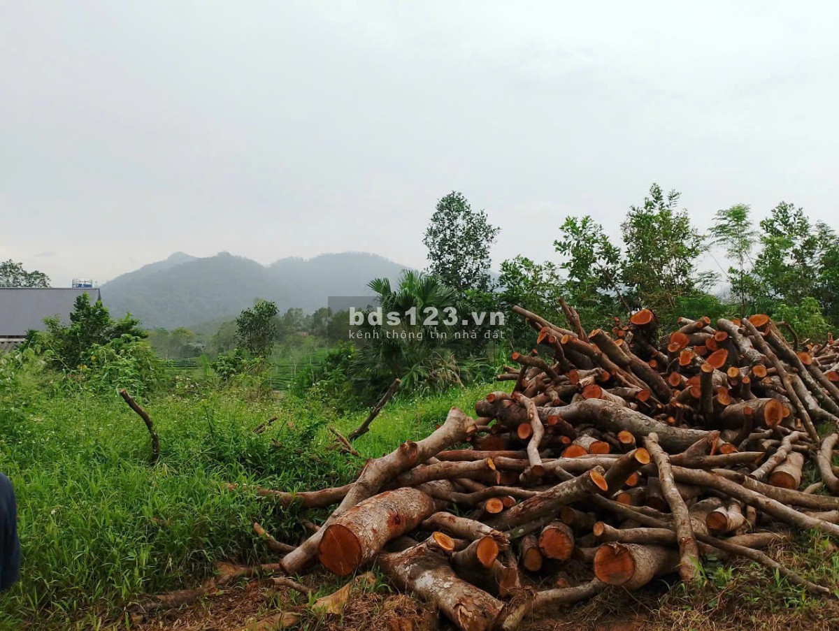 Chính chủ cần bán lô đất ở Thôn Quýt, Yên Bà, Ba Vì, Hà Nội