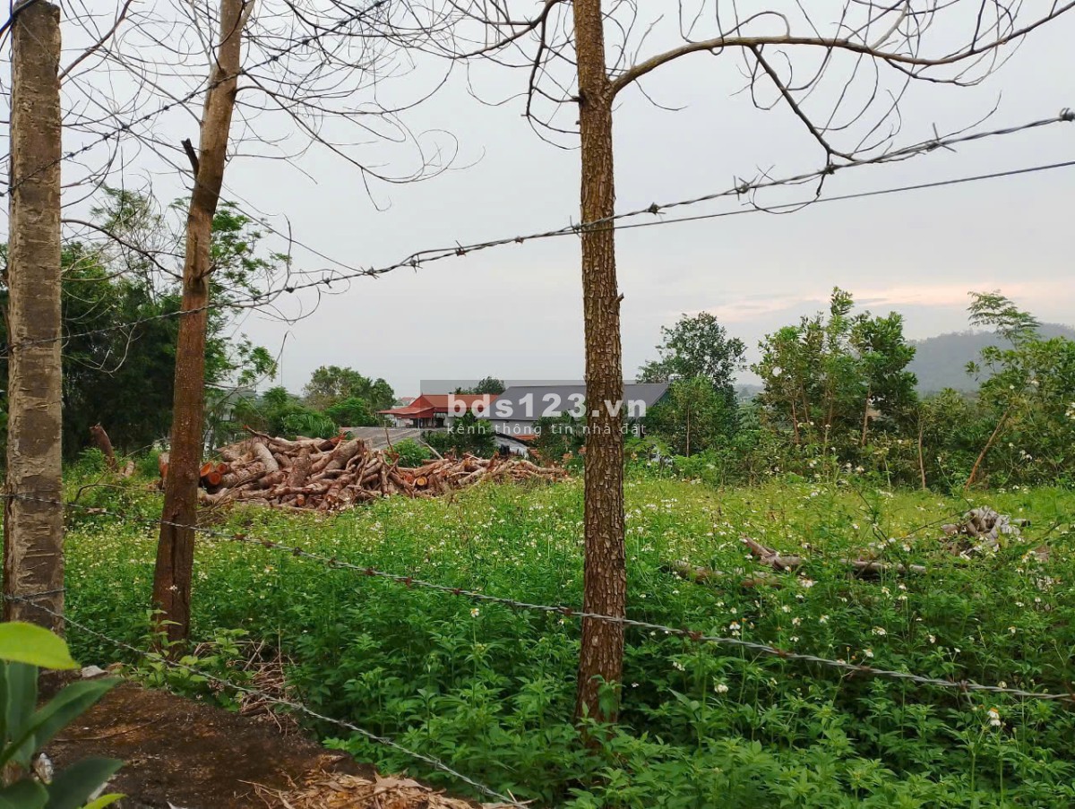 Chính chủ cần bán lô đất ở Thôn Quýt, Yên Bà, Ba Vì, Hà Nội