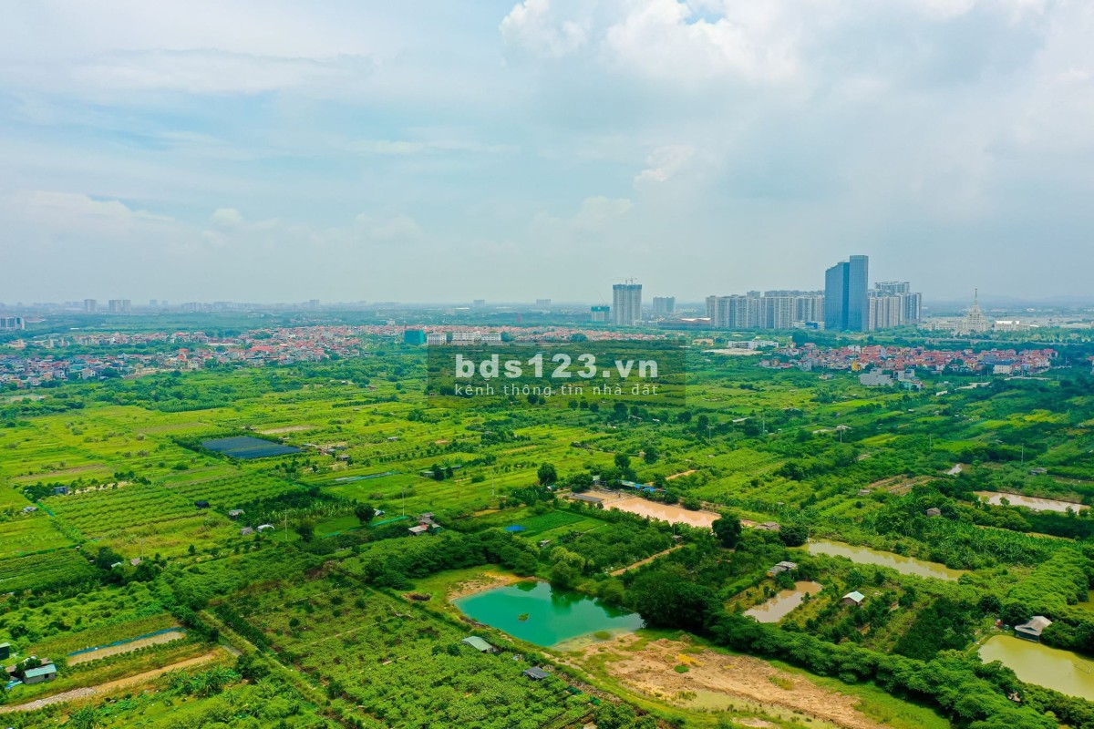 Bán Căn HOA HẬU toà Chung cư CUỐI CÙNG của GĐ1 ECOPARK. Nhận ngay SLOT