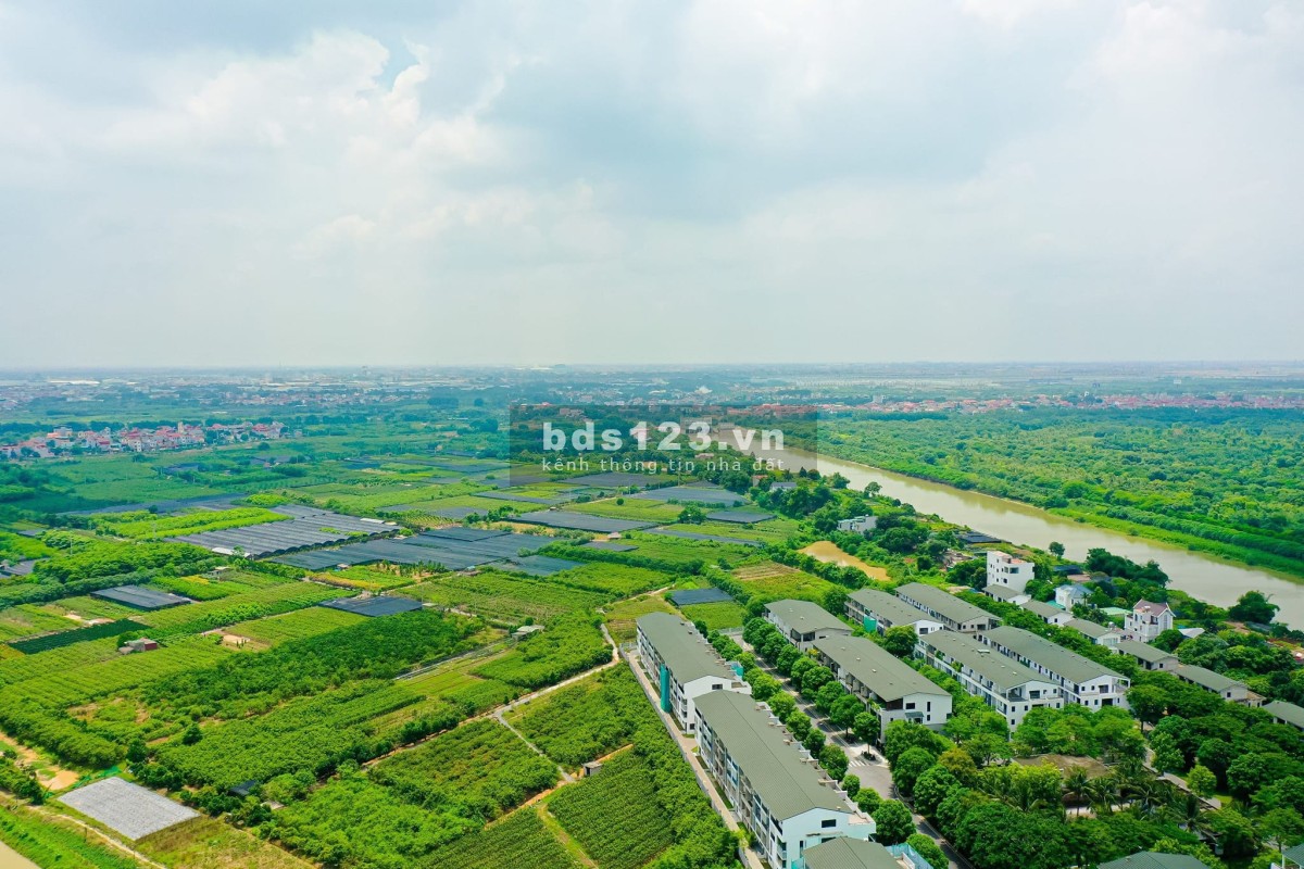 Bán Căn HOA HẬU toà Chung cư CUỐI CÙNG của GĐ1 ECOPARK. Nhận ngay SLOT