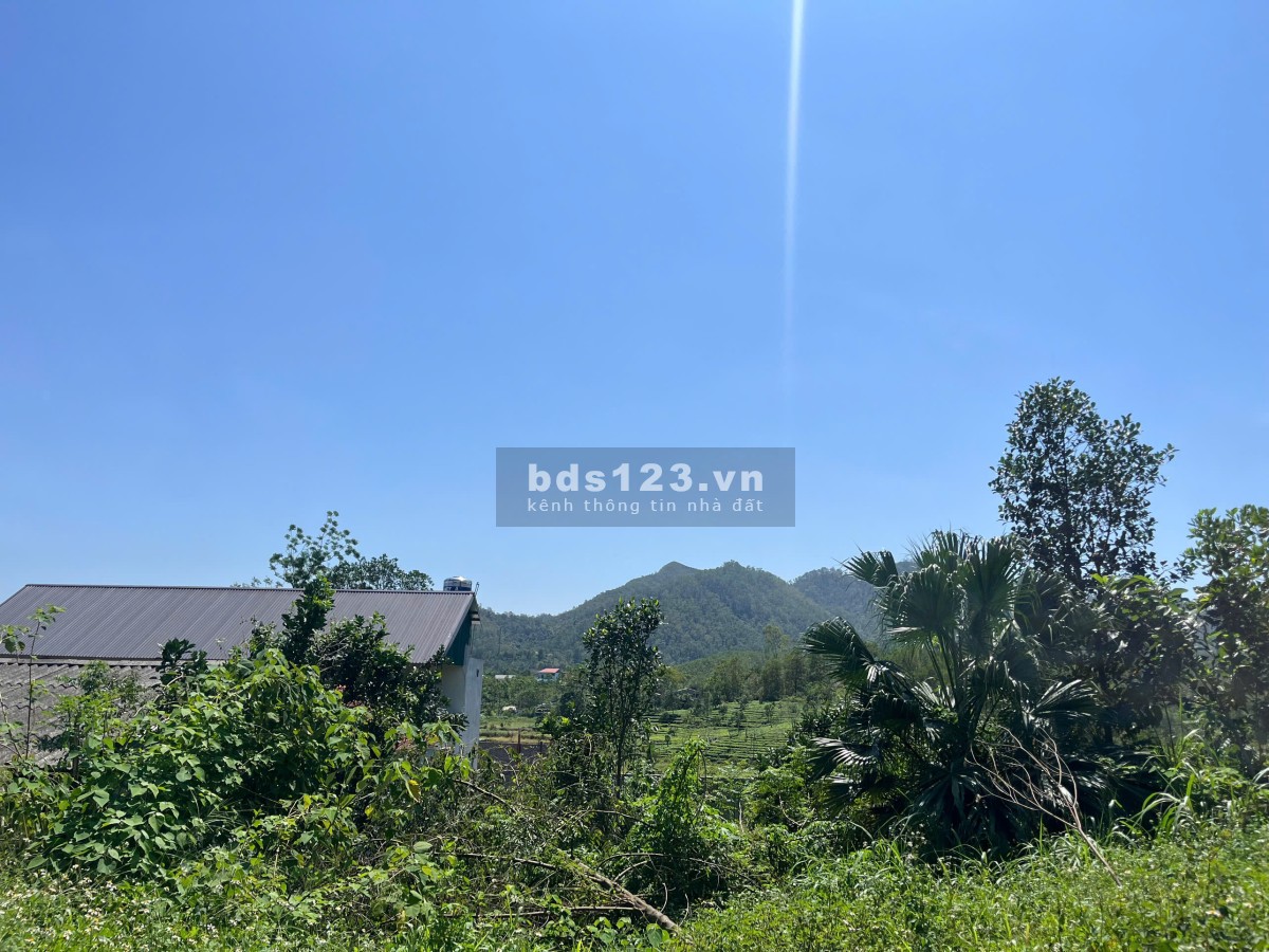 Chính chủ cần bán lô đất ở Thôn Quýt, Yên Bà, Ba Vì, Hà Nội