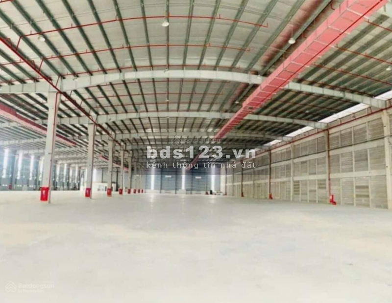 Bán gấp 5000m2 kho xưởng Thường Tín, Hà Nội, giá rẻ nhất thị trường