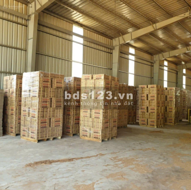Bán gấp 5000m2 kho xưởng Thường Tín, Hà Nội, giá rẻ nhất thị trường