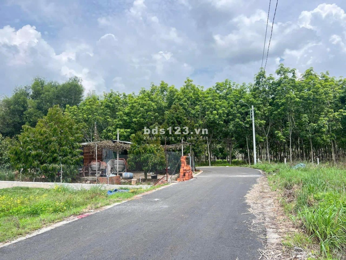 Chủ đang kẹt tiền ngân hàng cần bán gấp 1100m2(100m2TC)đường nhựa 20m