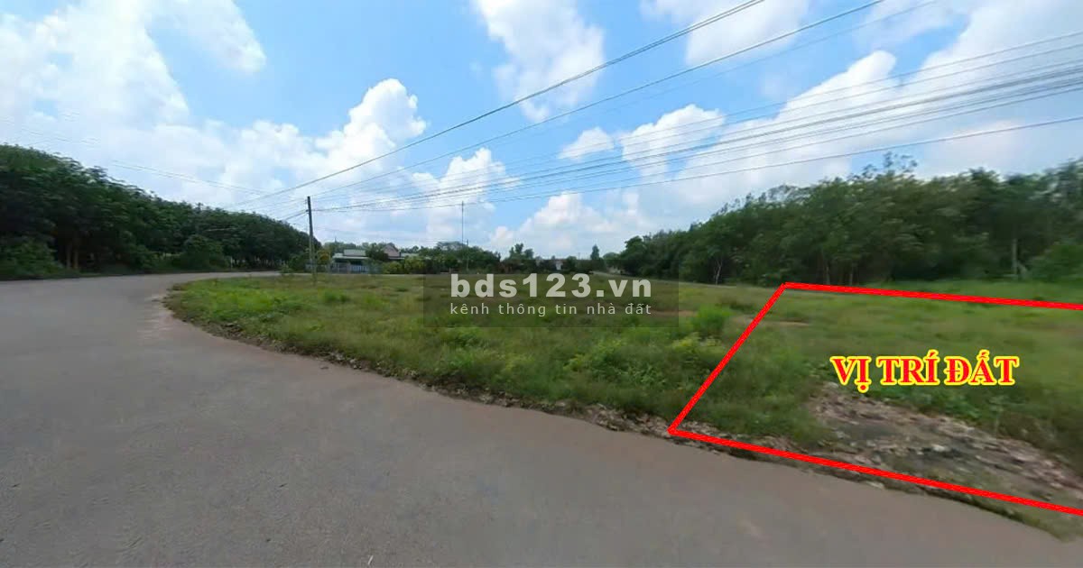 Chủ ngộp cần bán mảnh vườn 1200m2 giá 200tr tại TTHC Huyện Đồng Phú