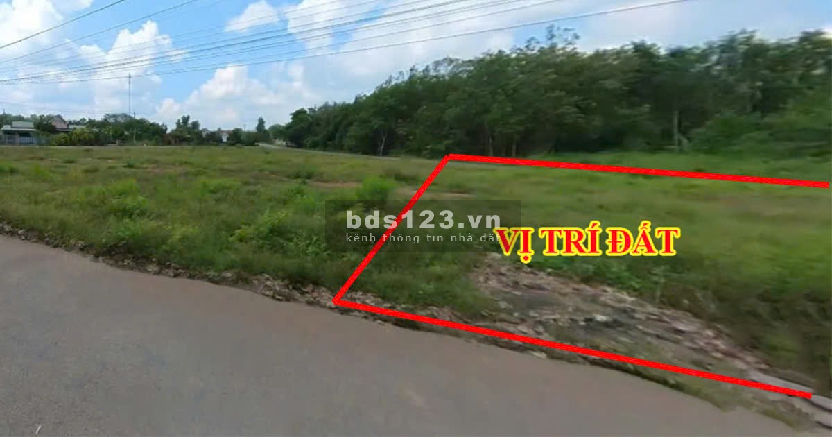 Chủ ngộp cần bán mảnh vườn 1200m2 giá 200tr tại TTHC Huyện Đồng Phú