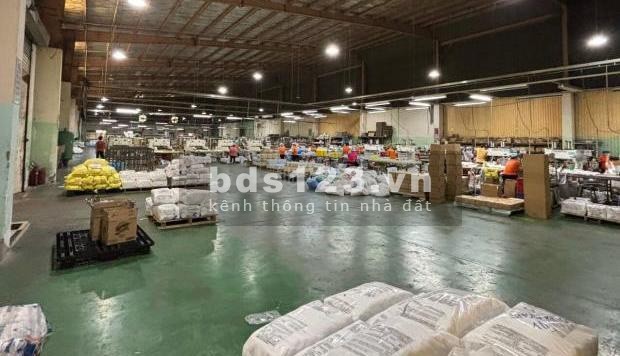 Cho thuê kho xưởng 1000m2 - 3500m2 KCN Cát Lái, Thạnh Mỹ Lợi, Quận 2